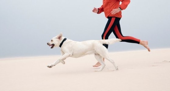 It’s true – understanding your personality type can really help you get fit.