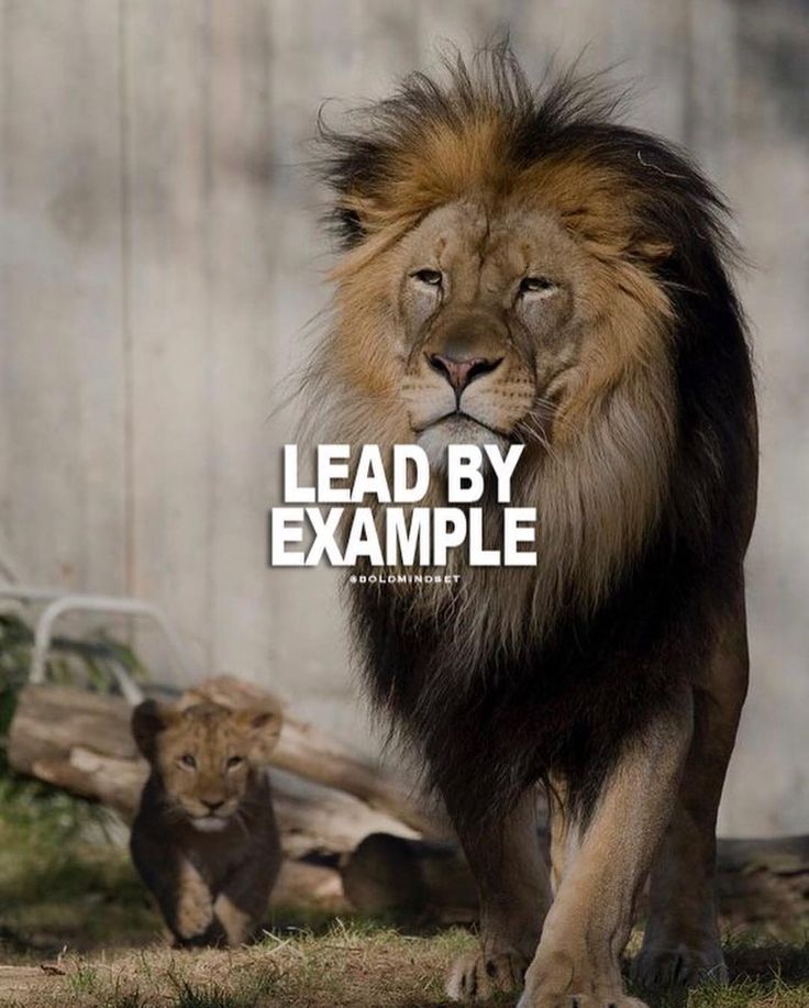 Are the leaders in your business practicing what they preach?